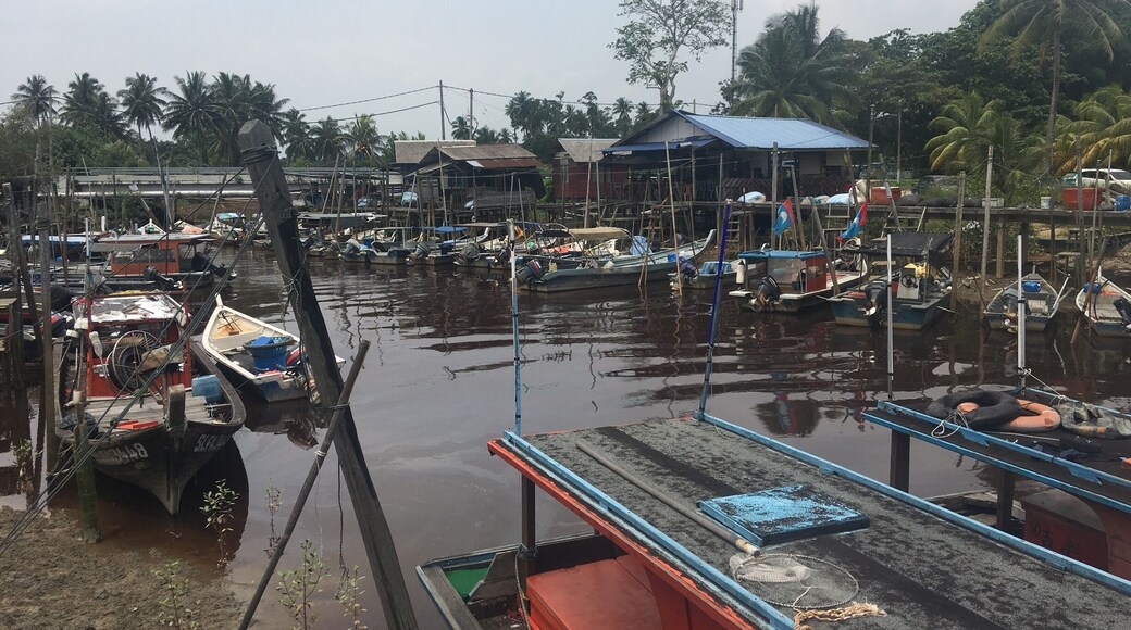 Fishermen’s docking point near a saltwater mangrove swamp at Pantai Batu Laut #fishermenswharf #tanjungsepat #selangor #malaysia