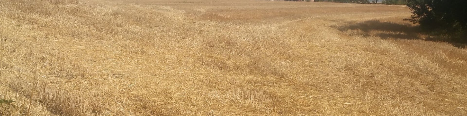 C'est un petit village de 600 habitants à quelques kilomètres d'Uzès. Calme et sérénité. ...que du bonheur !