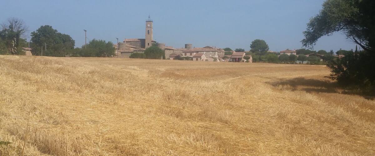 A rural landscape with a field of golden crops, a church with a tall bell tower, and scattered houses.