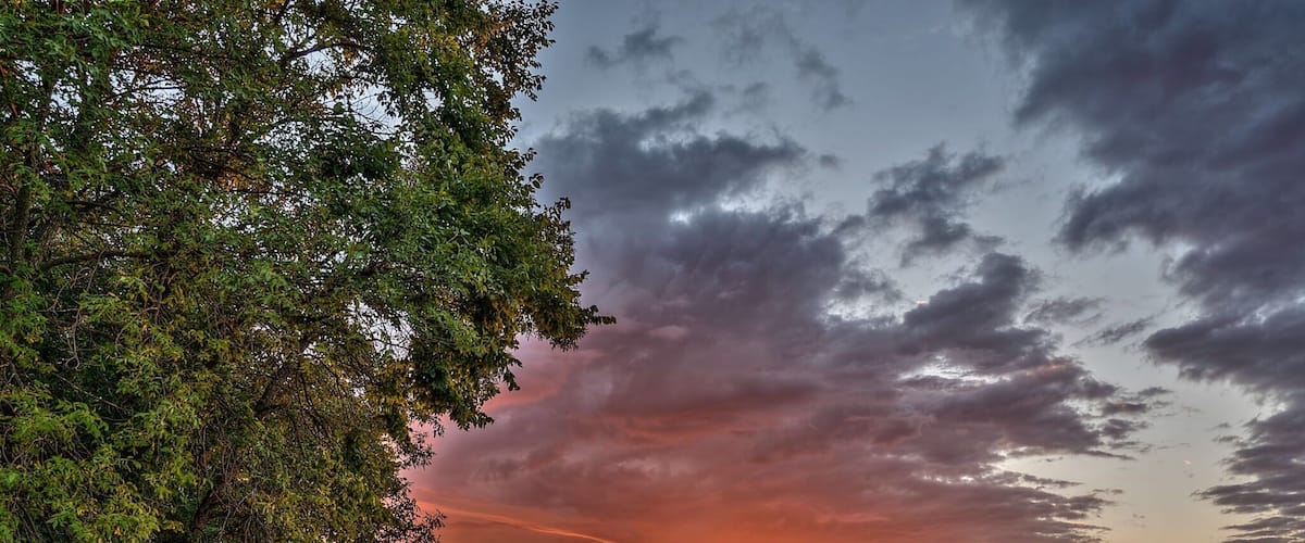 #colorful
Sunrise on the lake. Nothing better than this to greet you in the morning on the cabin.