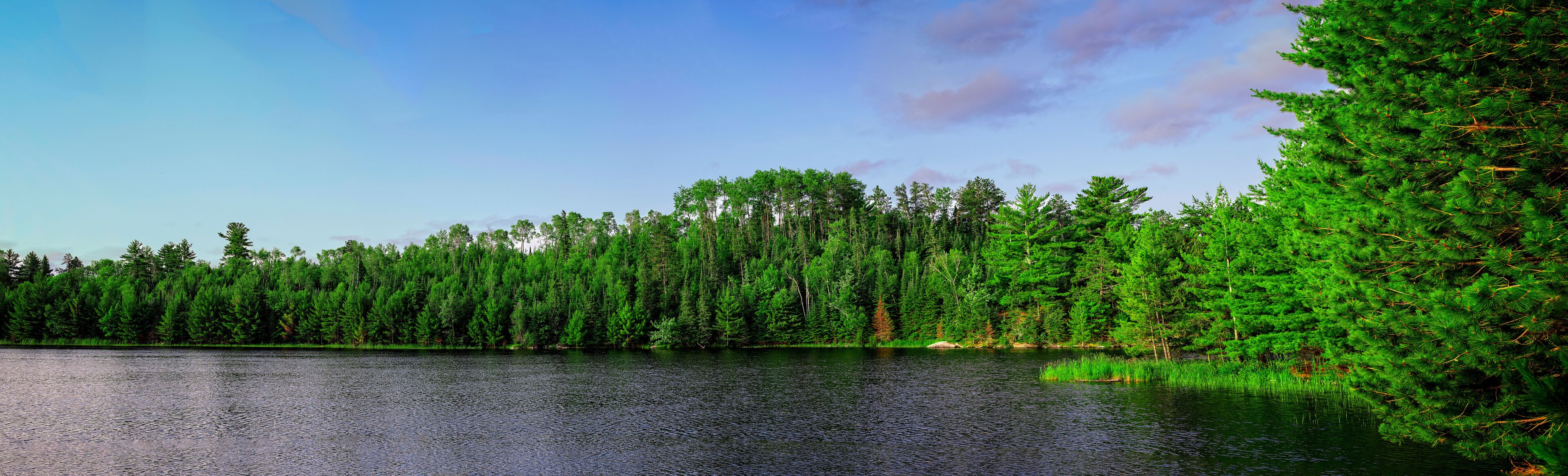 A calm lake surrounded by dense green forest.