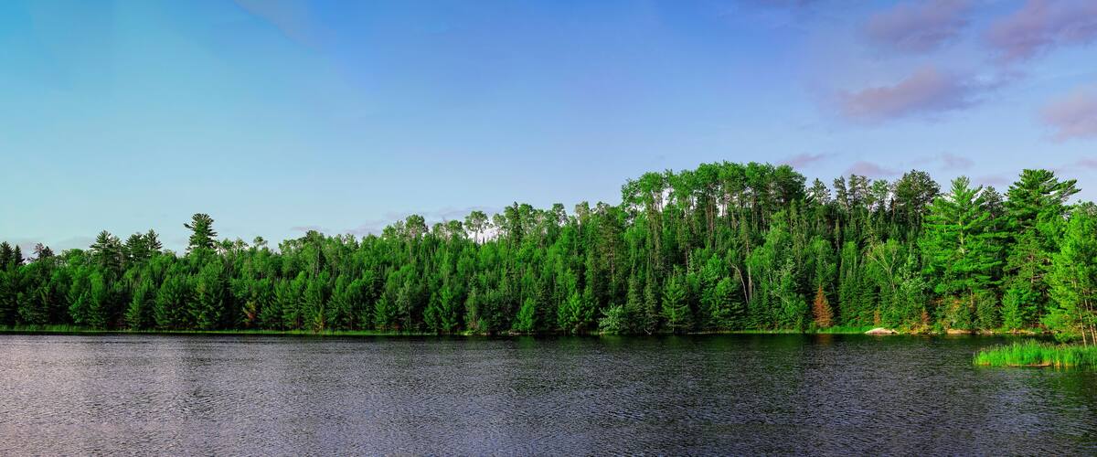 A calm lake surrounded by dense green forest.