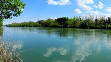 A calm river with dense greenery and trees along the banks.