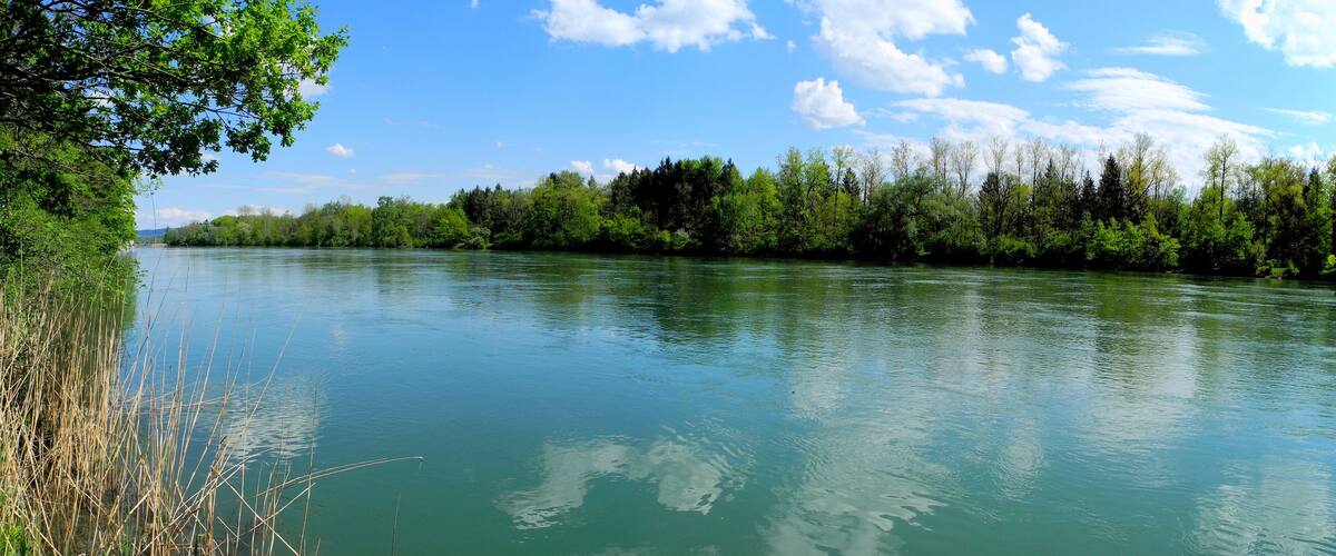 A calm river with dense greenery and trees along the banks.
