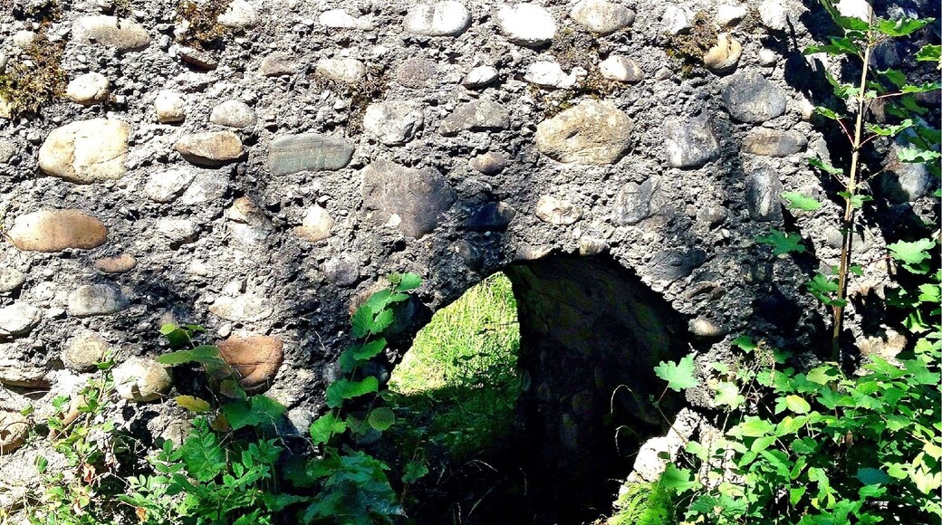 Hinter einem Hof mitten im Walde ganz versteckt steht diese Ruine. Sie ist auf einem Hügel und birgt mystische kleine durchgänge. Wunderschönes grün schmücken ihre Fassaden.