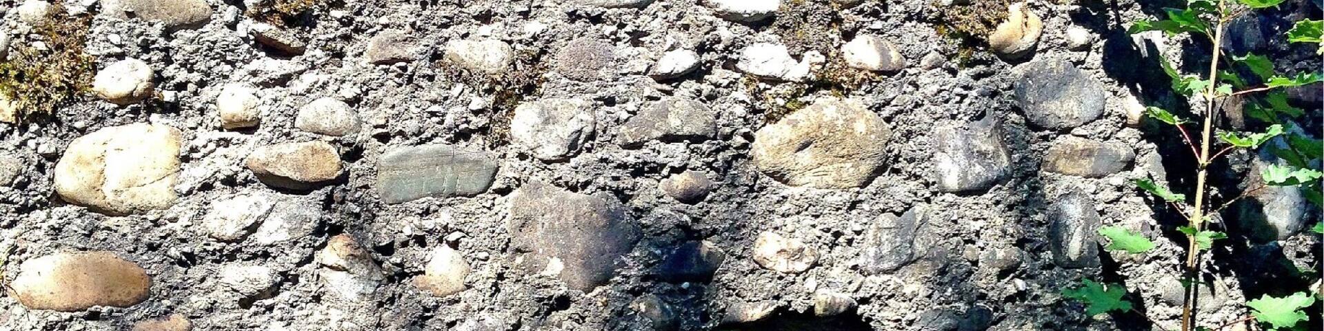 Hinter einem Hof mitten im Walde ganz versteckt steht diese Ruine. Sie ist auf einem HĂŒgel und birgt mystische kleine durchgĂ€nge. Wunderschönes grĂŒn schmĂŒcken ihre Fassaden.