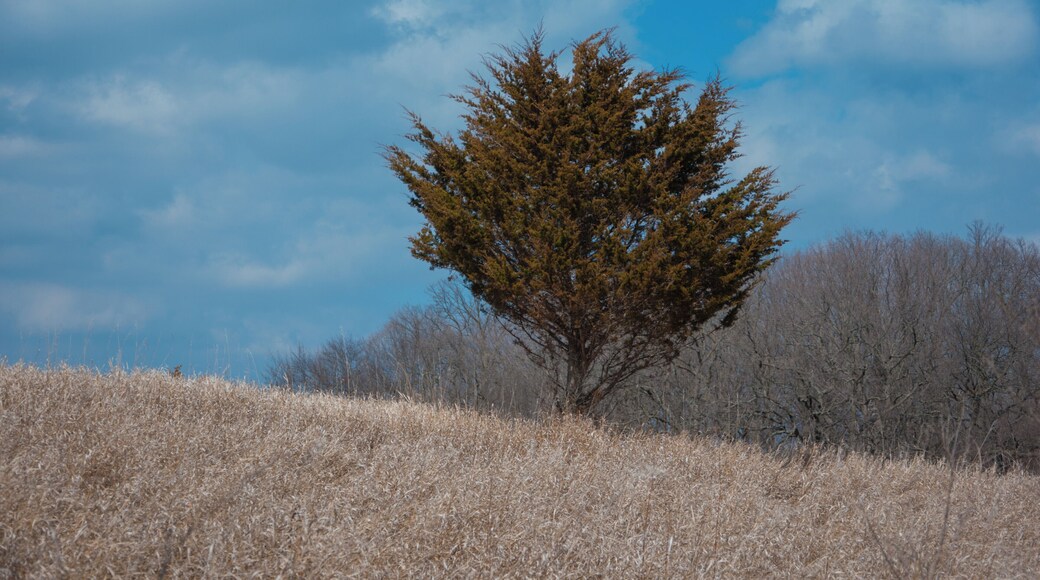 The activities were interesting.