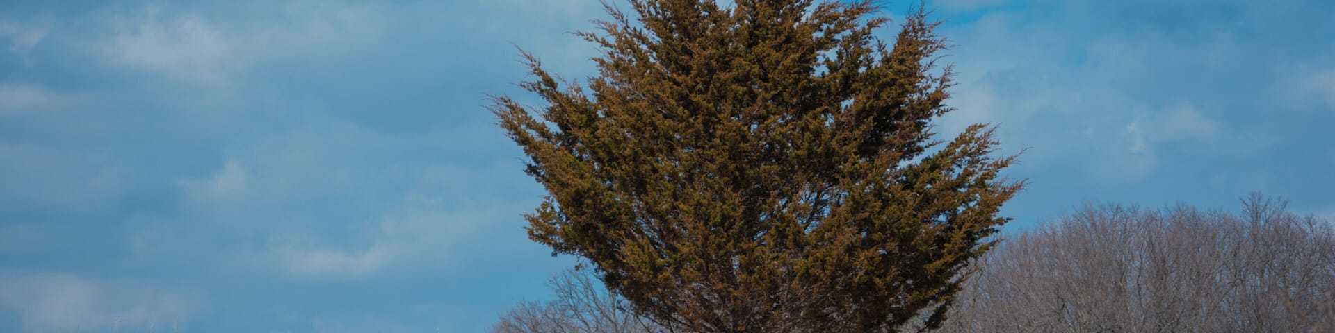 The activities were interesting.