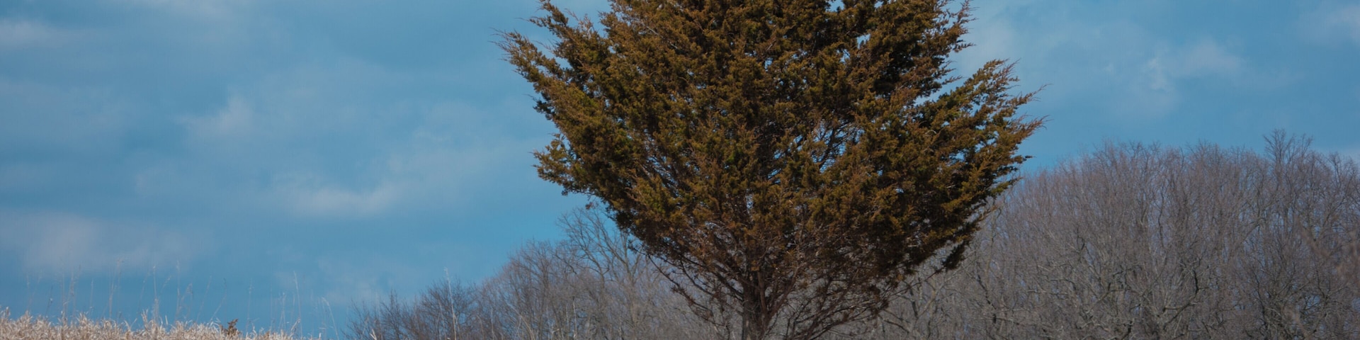 The activities were interesting.