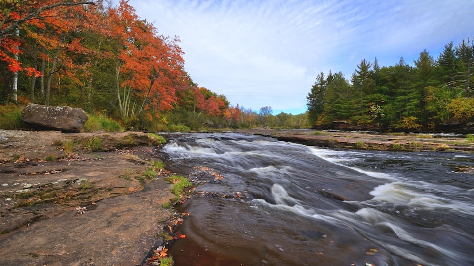 A river flowing through a forest with autumn-colored trees.