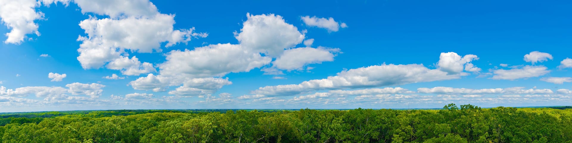 Sibley State Park Mount Tom Trail Blue sky panorama with clouds over tops of green trees
