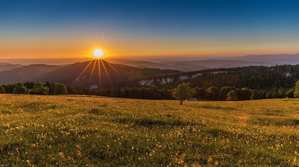 At Passwang you have a really nice view over the backcountry of Basel. Enjoy it.