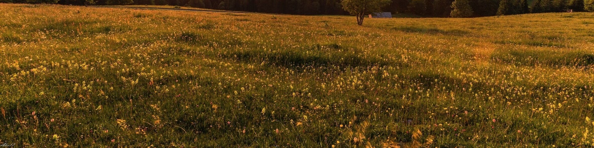 At Passwang you have a really nice view over the backcountry of Basel. Enjoy it.