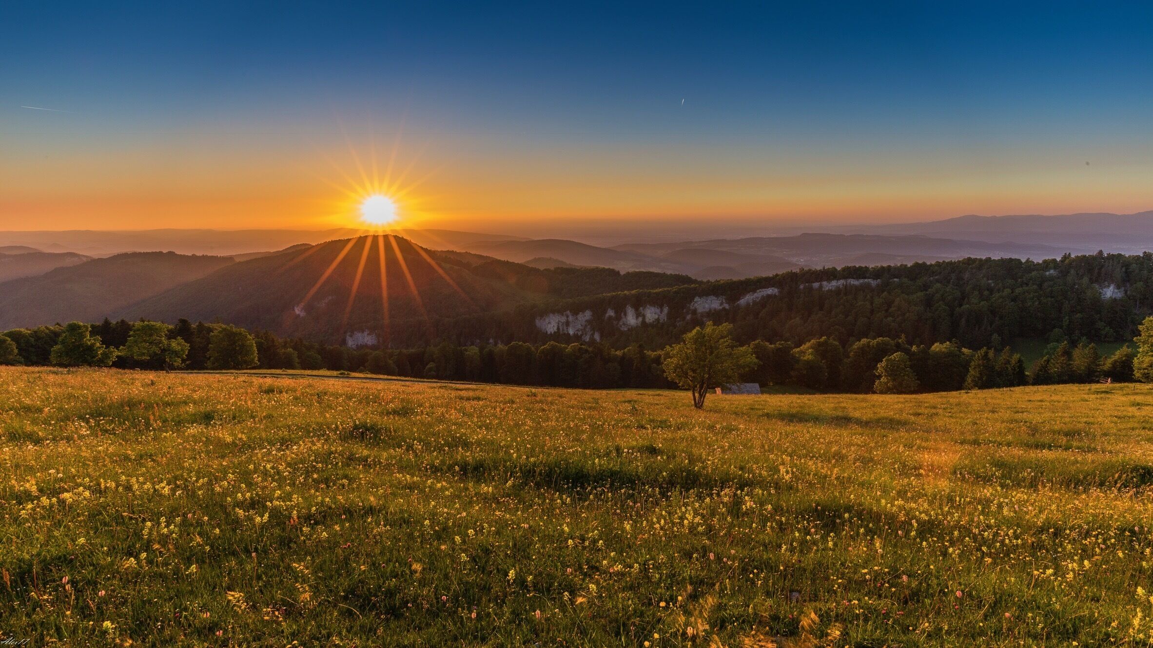 A sunset over a mountainous landscape with a field of wildflowers in the foreground.