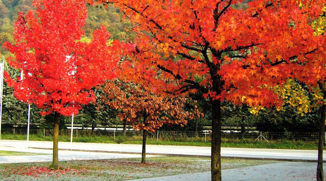 Grancia, Switzerland