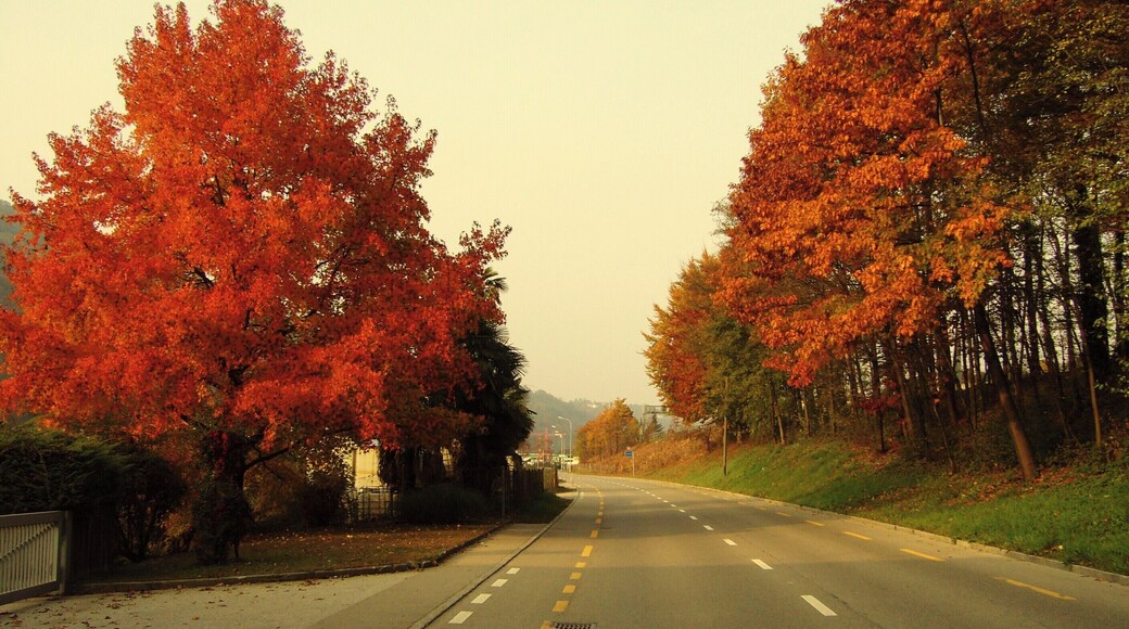 Grancia, Switzerland