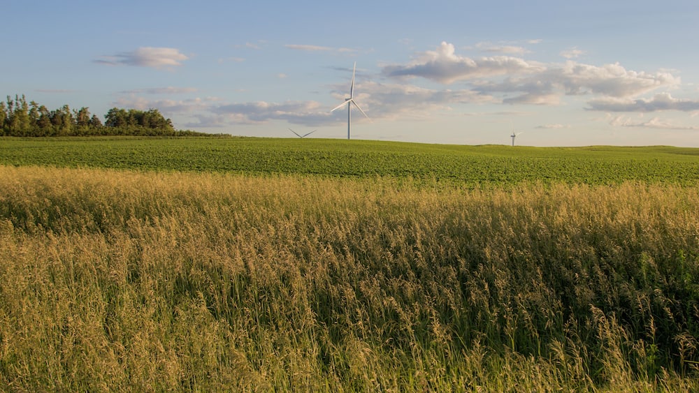 Un champ parsemé d’éoliennes, sous un ciel dégagé.
