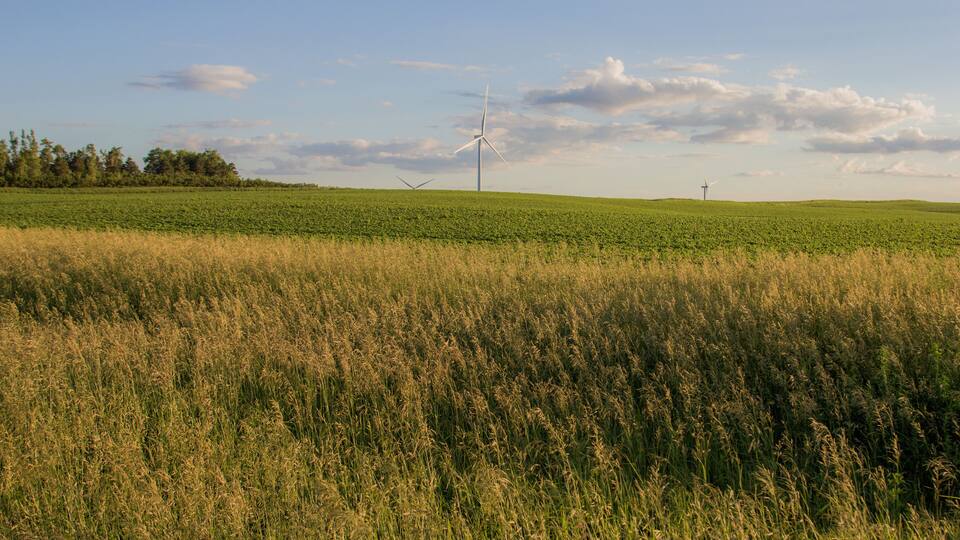 summer on the buffalo ridge in minnesota