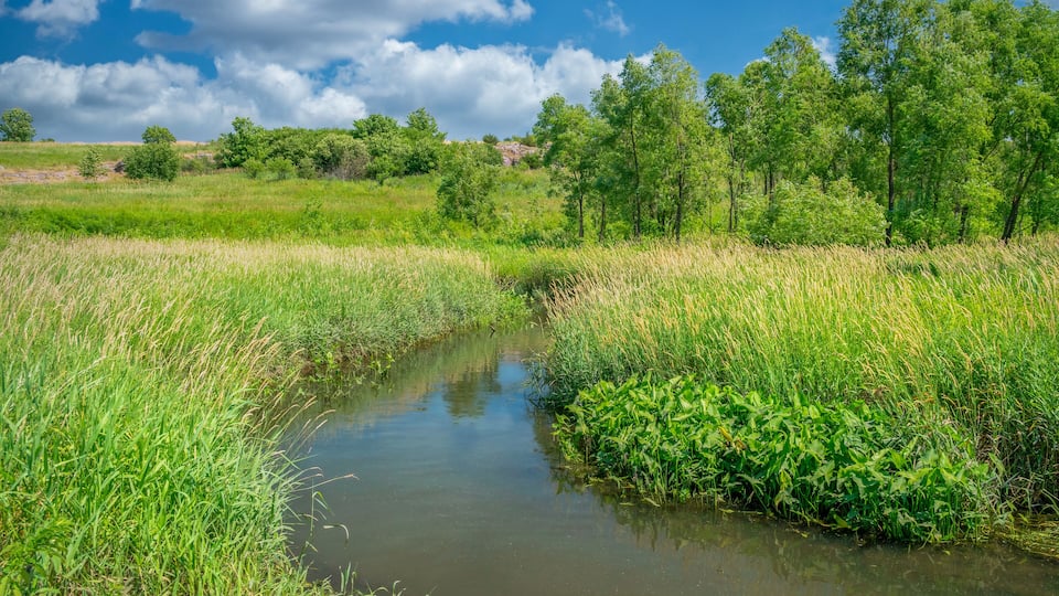 Mound Creek at Blue Mounds State Park.