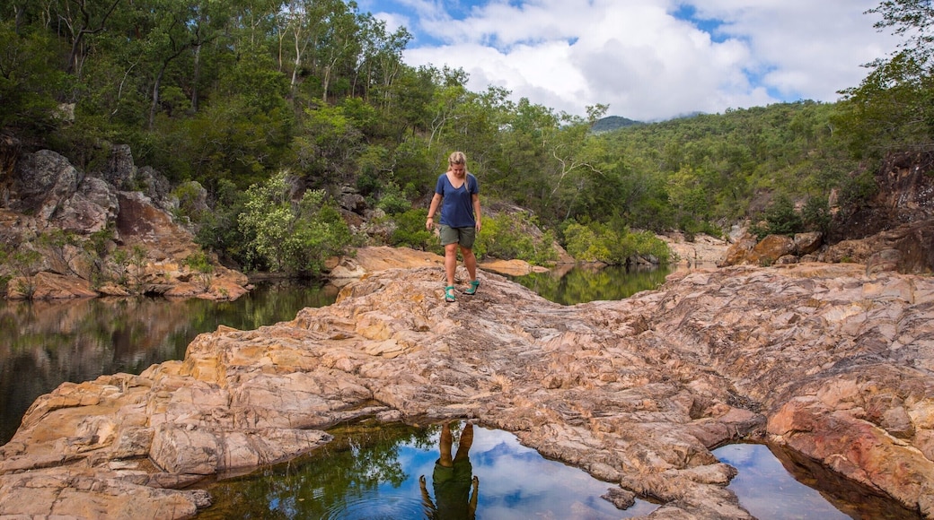 Just outside Townsville you'll find Alligator Creek - a local waterhole that is gator-free. A great swimming spot and walk next to Bowling Green National Park.
