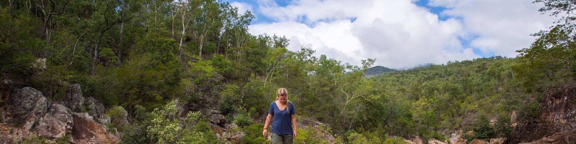 Just outside Townsville you'll find Alligator Creek - a local waterhole that is gator-free. A great swimming spot and walk next to Bowling Green National Park.
