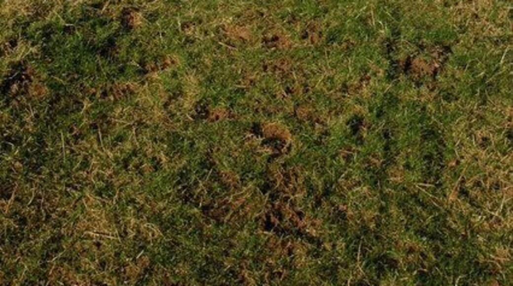 Bridleway to Overton Farm Bridleway across a field from the B4070 to Overton Farm which can be seen on the horizon.