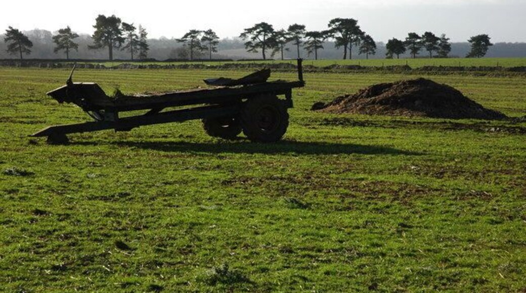 Trailer at Overton Farm, Cranham An old flat-bed trailer along side a muck bury near Overton Farm. The pine trees in the background line the driveway to Ebworth House.