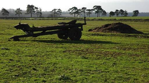 Trailer at Overton Farm, Cranham An old flat-bed trailer along side a muck bury near Overton Farm. The pine trees in the background line the driveway to Ebworth House.