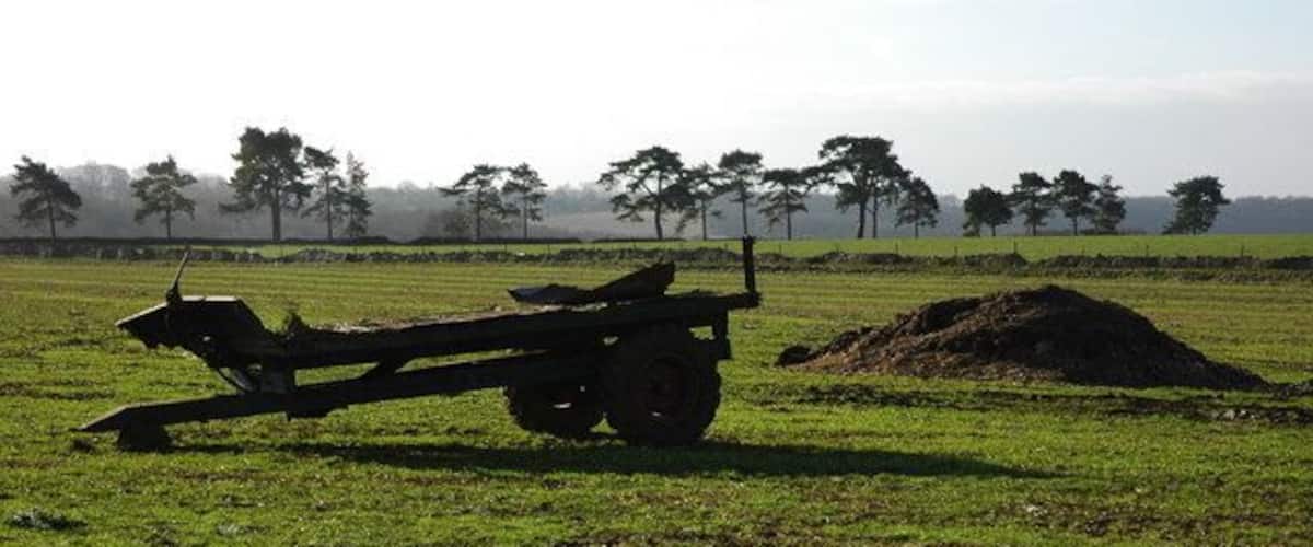 A cart in a field with a pile of hay and trees in the background.