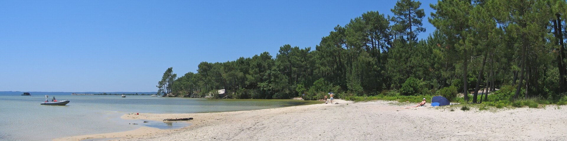Sanguinet lake with big pines along the beach