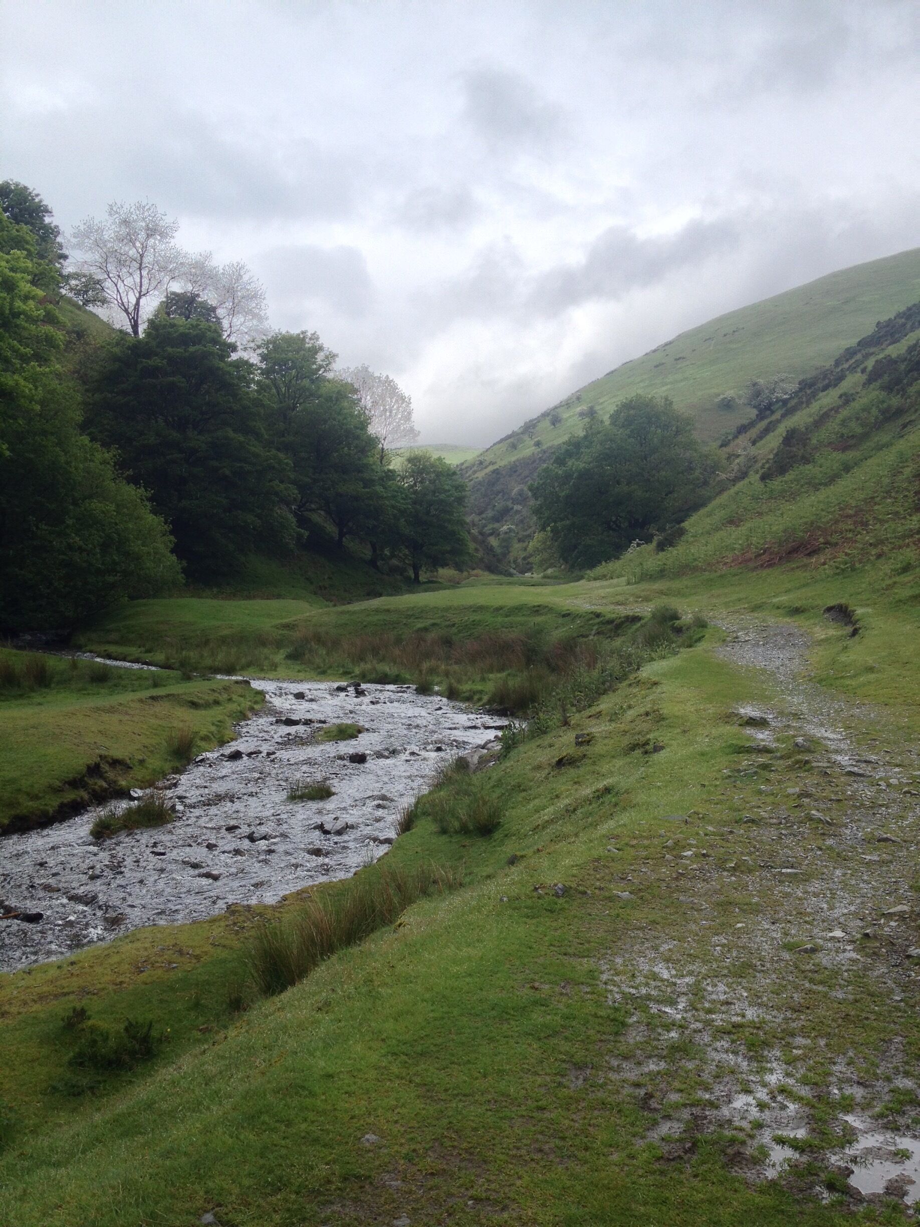 A river flowing through a valley with grassy banks and trees.