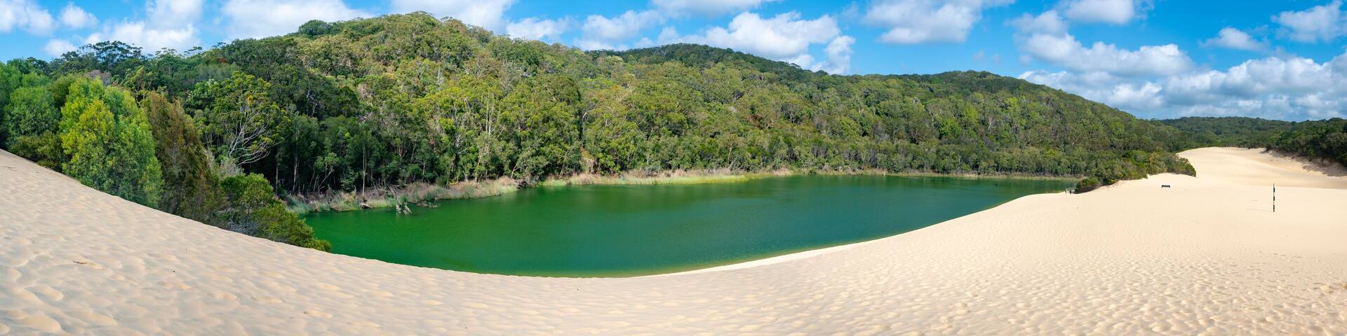 Panorama Lake Wabby on Fraser Island part of the Great Sandy National Park Queensland Australia. The lake is thriving with marine life and will disappear under the sand from The Hammerstone Sandblow.