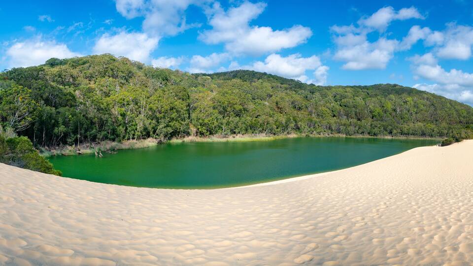 A desert landscape with a green lake surrounded by sand dunes and dense forest.