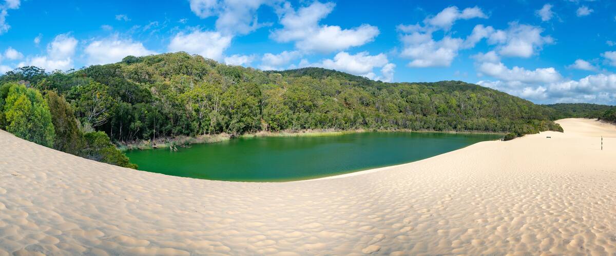 A desert landscape with a green lake surrounded by sand dunes and dense forest.