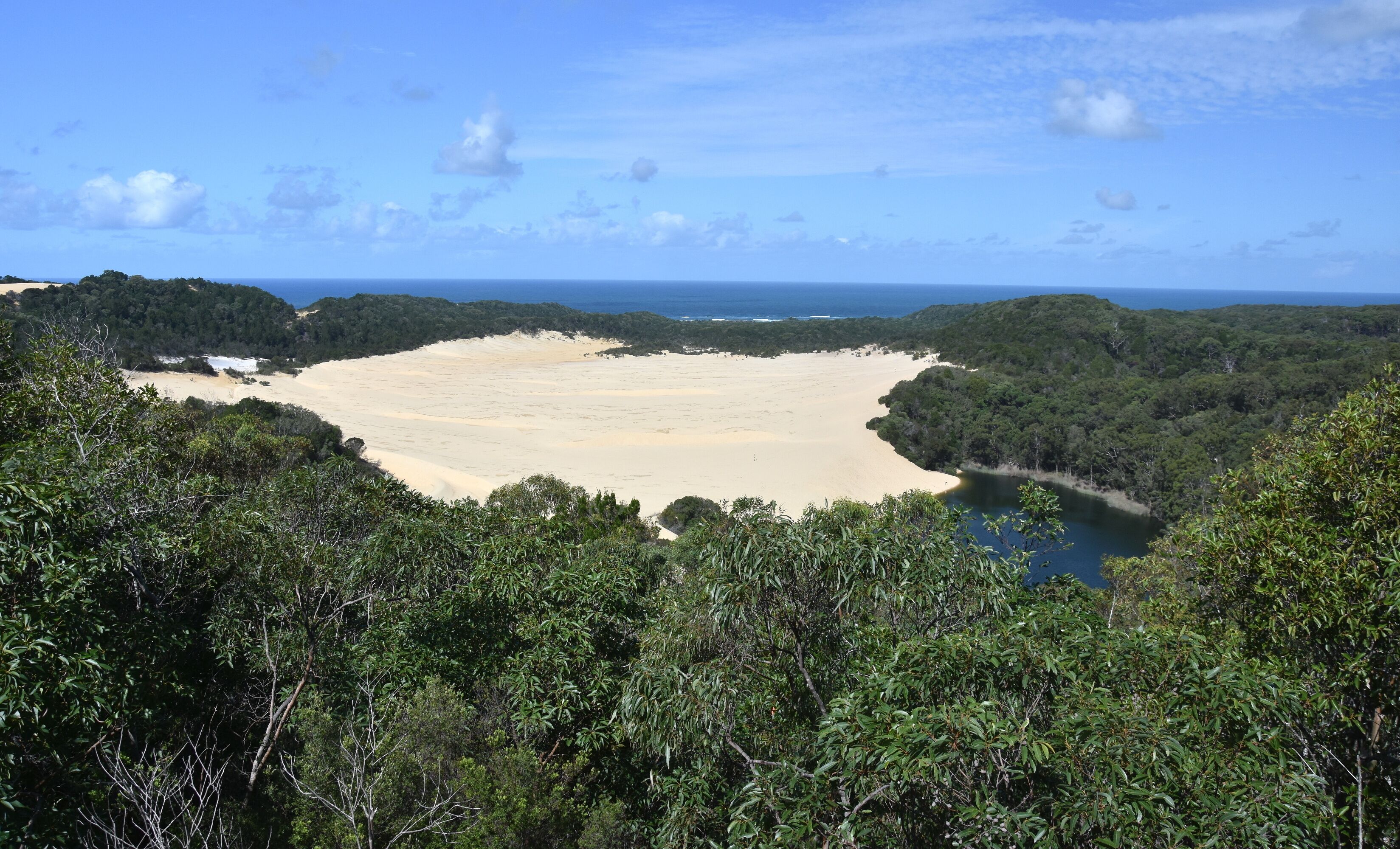 Landscape of dunes and Lake Wabby in Fraser Island (Sunshine Coast, Queensland, Australia). Lake Wabby is a small freshwater, green colored lake. It is located in the Great Sandy National Park.