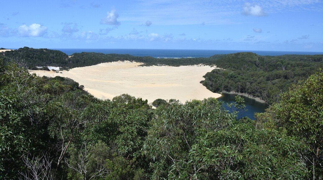 Landscape of dunes and Lake Wabby in Fraser Island (Sunshine Coast, Queensland, Australia). Lake Wabby is a small freshwater, green colored lake. It is located in the Great Sandy National Park.