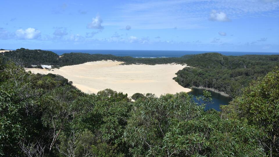 A beach surrounded by dense forest and a clear blue sky.