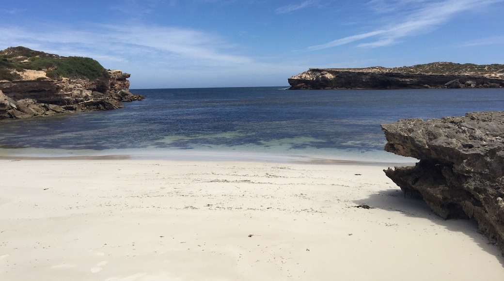 Great snorkelling in this little bay opposite of the busy beach