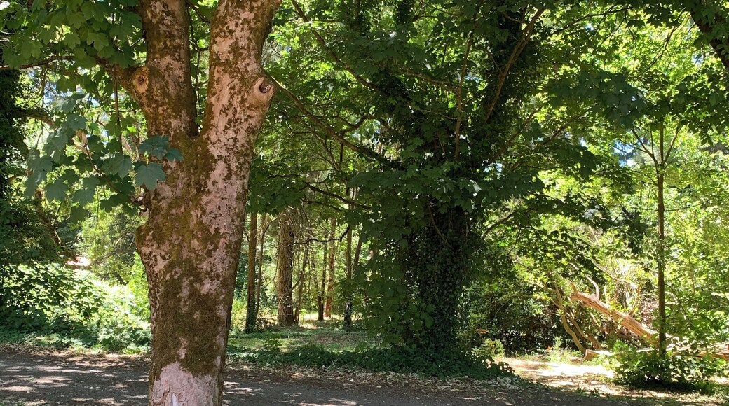 Bullarto Rail Station was opened in 1880. it is now the highest operating rail station in Victoria, Australia.