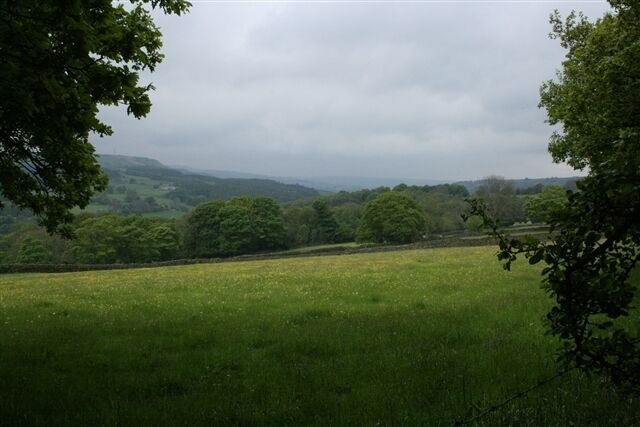 Nidderdale, near Old Spring Wood Looking up the valley towards Pateley Bridge.