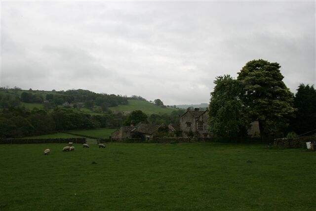 A green field with sheep, a large tree, and a stone building.