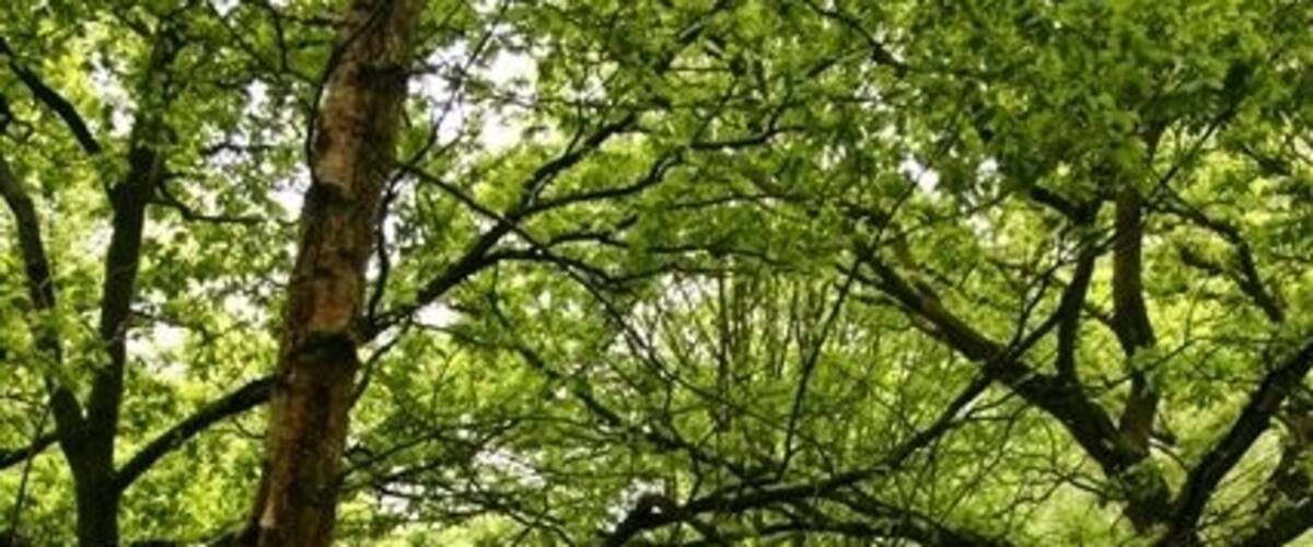Gateway, near Hartwith Bank On the footpath running from the top of Hartwith Bank down towards Old Spring Wood.