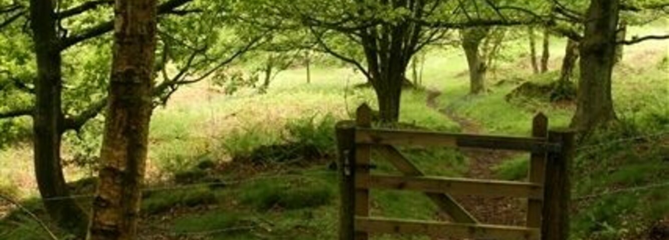 Gateway, near Hartwith Bank On the footpath running from the top of Hartwith Bank down towards Old Spring Wood.