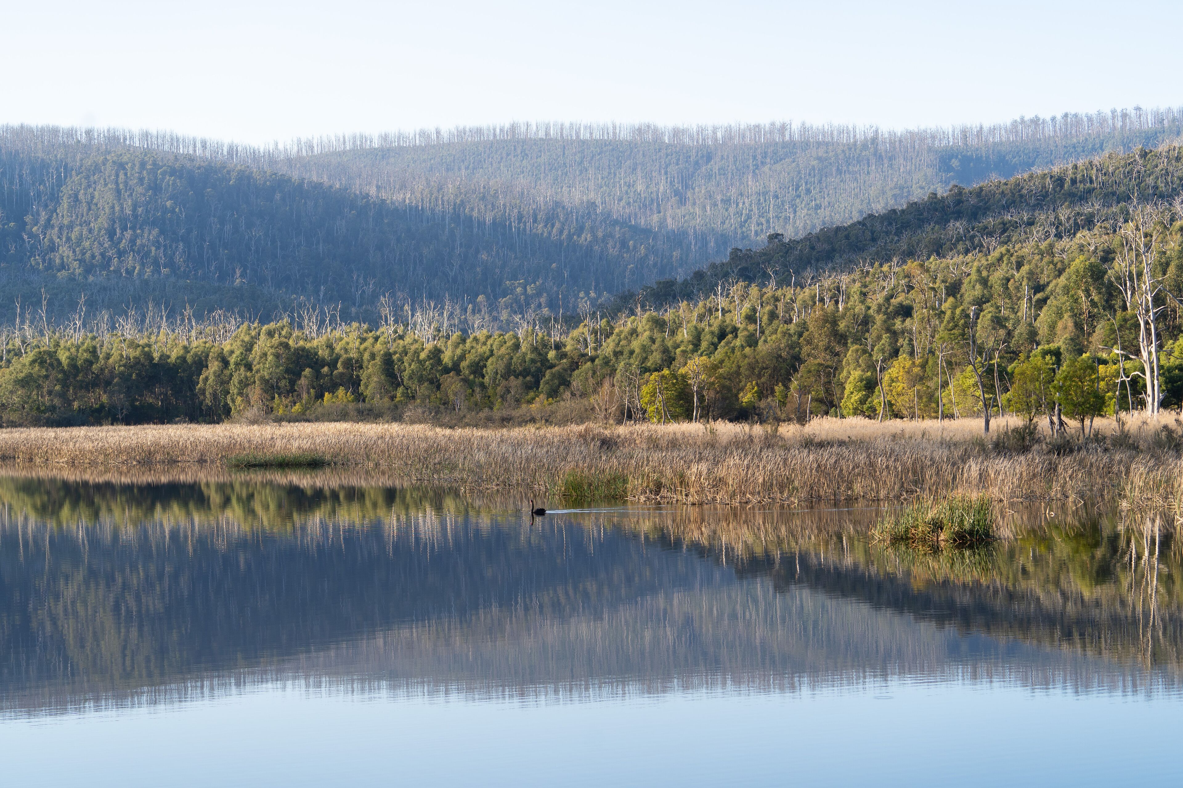 A calm lake reflecting trees and hills.
