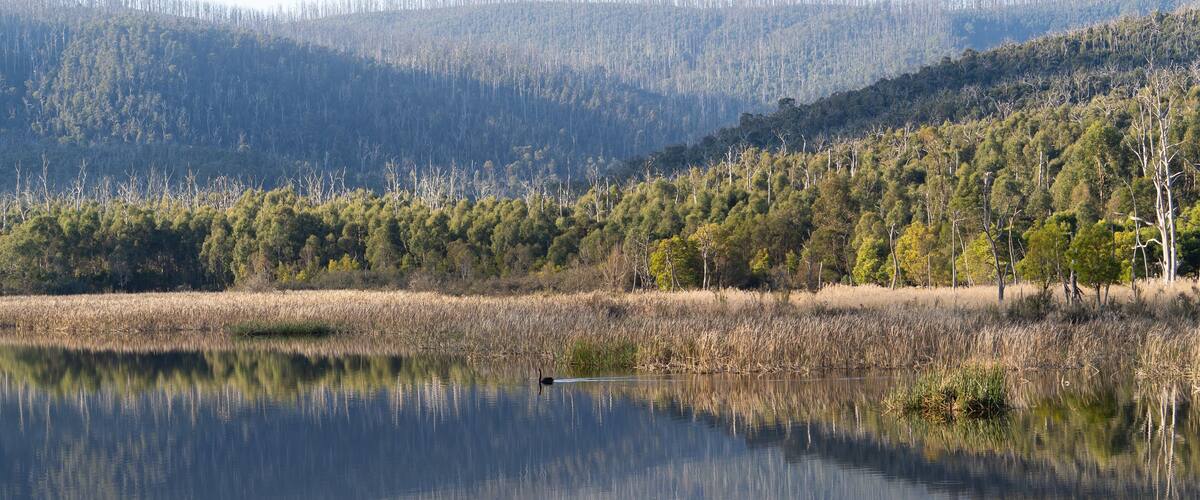 A calm lake reflecting trees and hills.