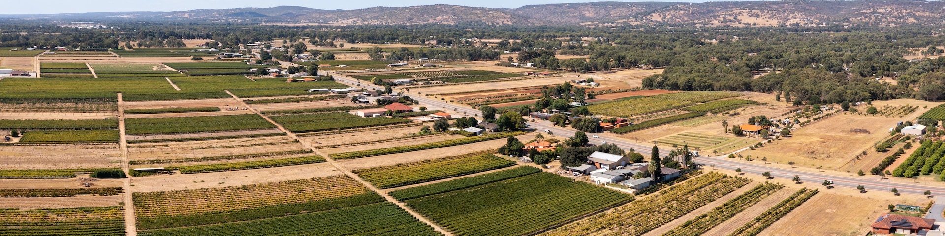 Vista aérea de um vinhedo com fileiras de videiras, uma estrada e colinas ao longe.