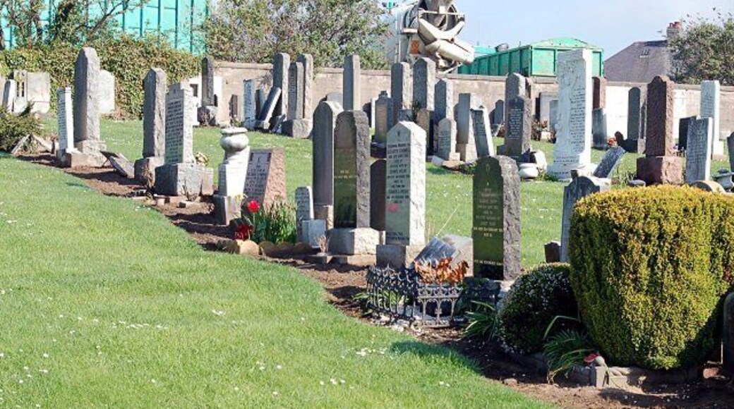 Scoonie cemetery Middle section which backs onto Cooks yard. Grass cutter hard at work.