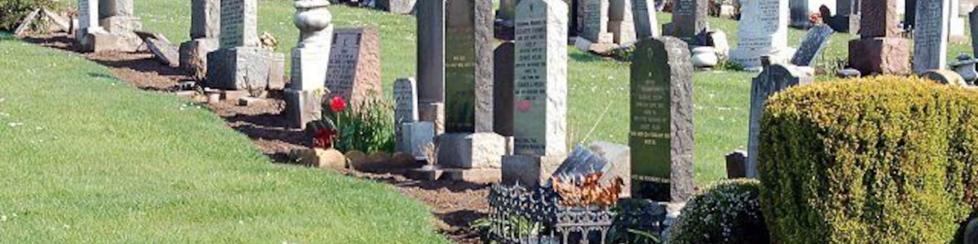 Scoonie cemetery Middle section which backs onto Cooks yard. Grass cutter hard at work.