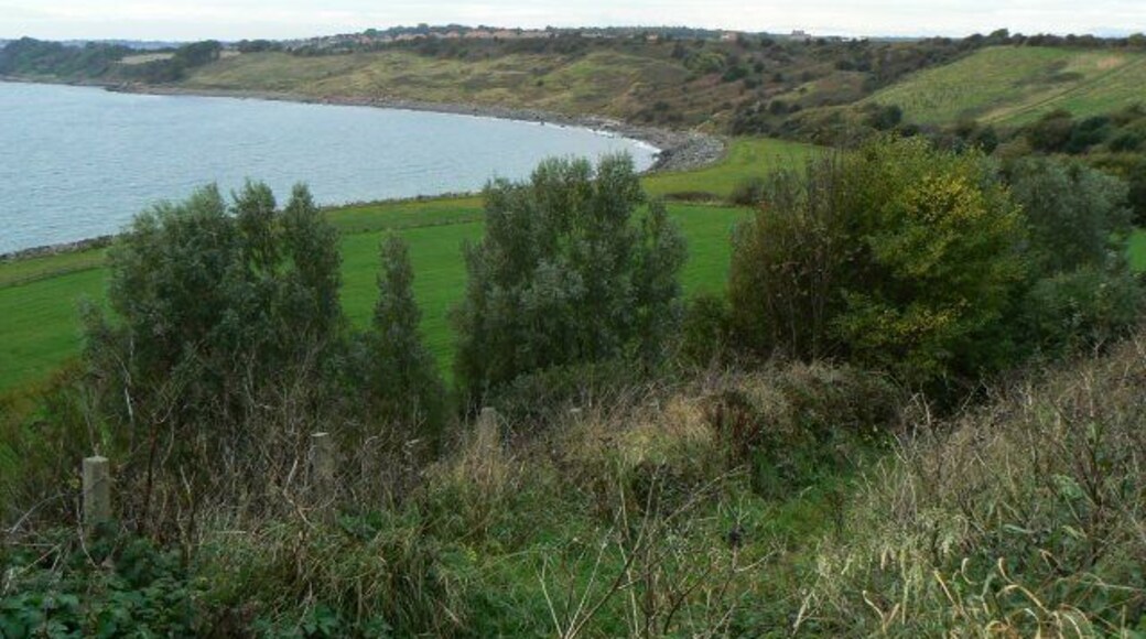 The bay at Buckhaven Looking west from Buckhaven towards East Wemyss.