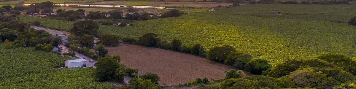 Bridges over a river surrounded by greenery during the sunrise in Mao, the Dominican Republic